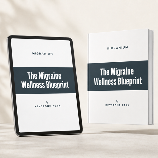 The Migraine Wellness Blueprint